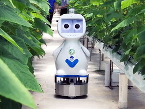 智能农业机器人的特点