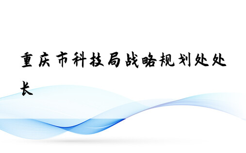 重庆市科技局战略规划处处长